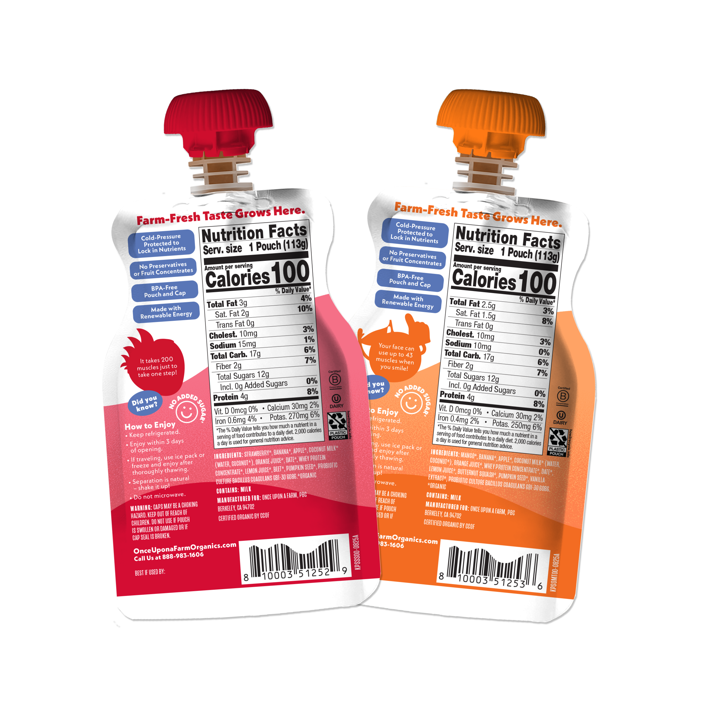 Smoothies with Protein & Probiotics Variety Pack